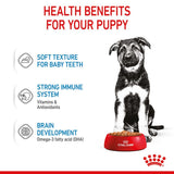 Royal Canin Maxi Puppy in Gravy || Royal Canin Size || view 6
