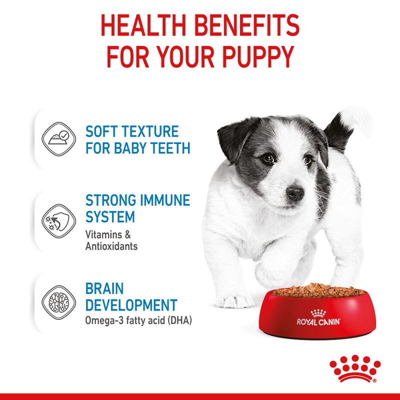 Royal Canin Mini Puppy in Gravy || Royal Canin Size || view 6