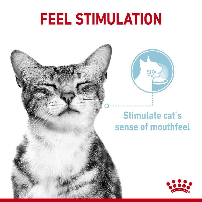Royal Canin Sensory Feel in Gravy || undefined || view 3