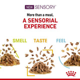 Royal Canin Sensory Feel in Gravy || undefined || view 4