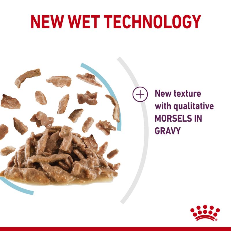 Royal Canin Sensory Feel in Gravy || undefined || view 5