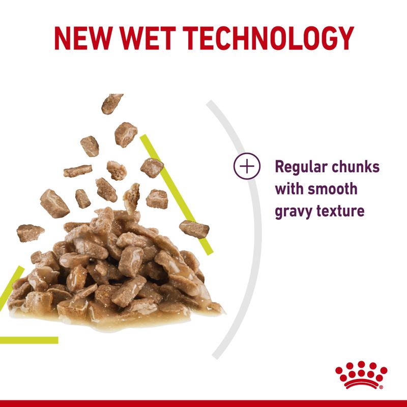 Royal Canin Sensory Smell in Gravy || undefined || view 5