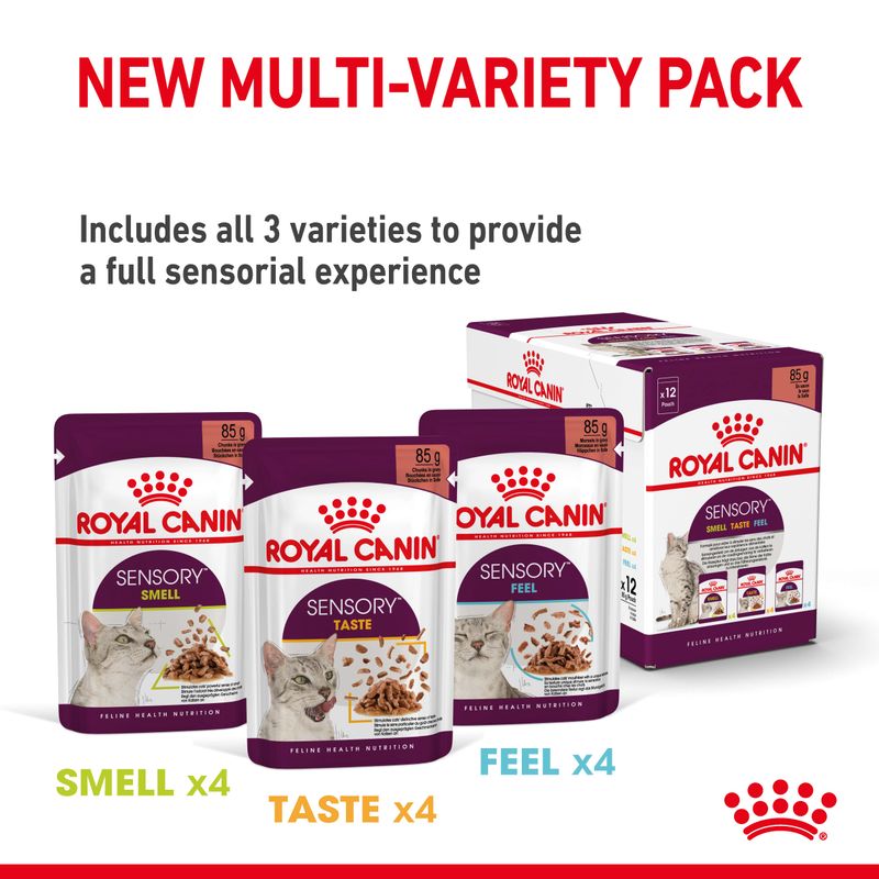 Royal Canin Sensory Smell in Gravy || undefined || view 8