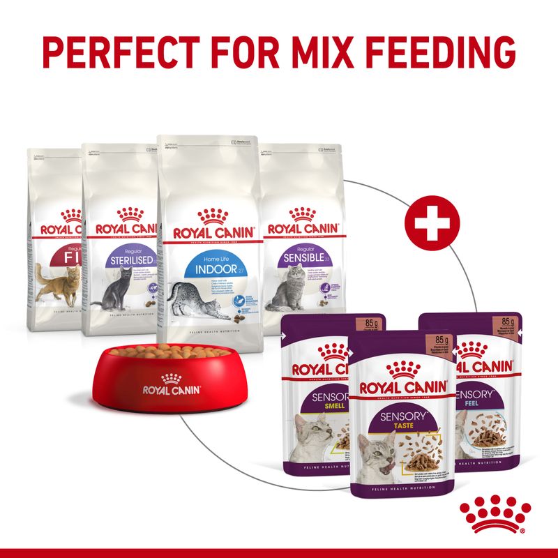 Royal Canin Sensory Smell in Gravy || undefined || view 9