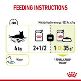 Royal Canin Sensory Smell in Gravy || undefined || view 7