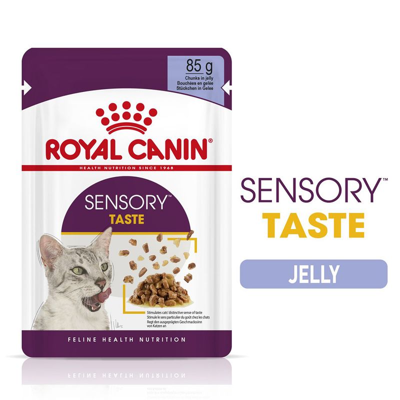 Sensory Taste jelly chunks in 85g pouch, stimulates sense of taste. Text highlights Sensory Taste and Jelly.