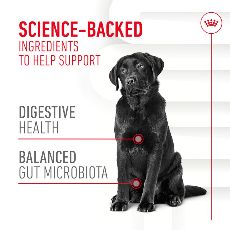 Royal Canin Digestion Adult Supplement Chews || Royal Canin || view 3