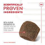 Royal Canin Digestion Adult Supplement Chews || Royal Canin || view 5