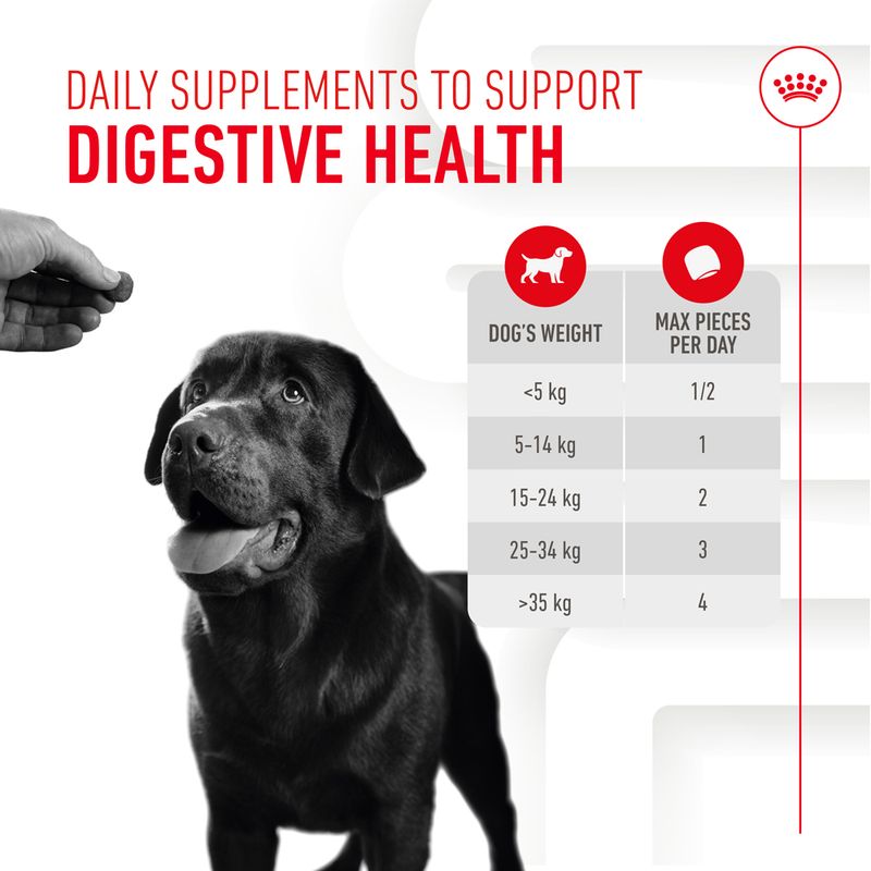 Royal Canin Digestion Adult Supplement Chews || Royal Canin || view 6