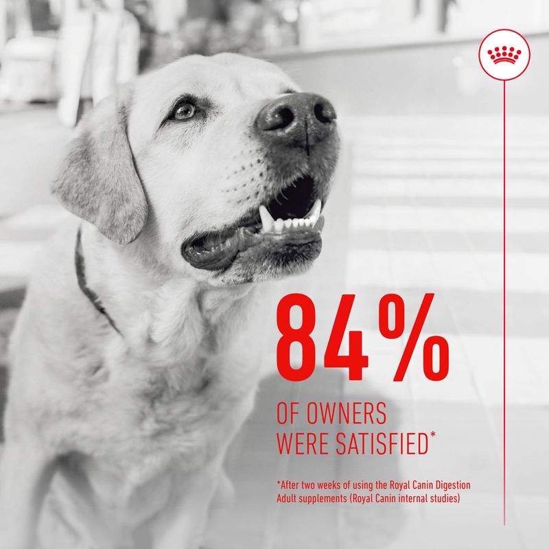 Royal Canin Digestion Adult Supplement Chews || Royal Canin || view 7