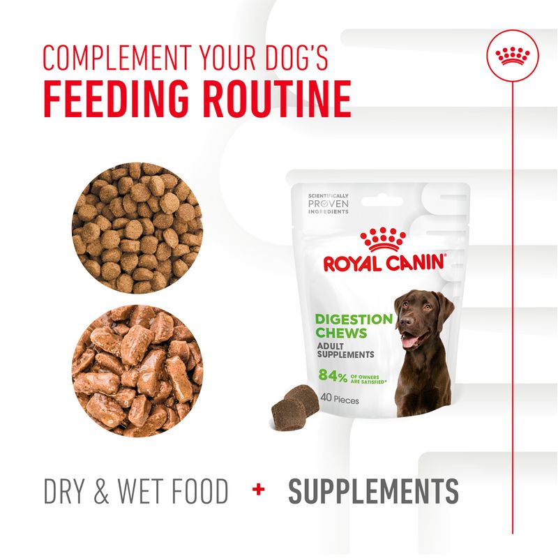 Royal Canin Digestion Adult Supplement Chews || Royal Canin || view 8