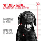 Royal Canin Puppy Immunity & Digestion Supplement Chews || Royal Canin || view 3