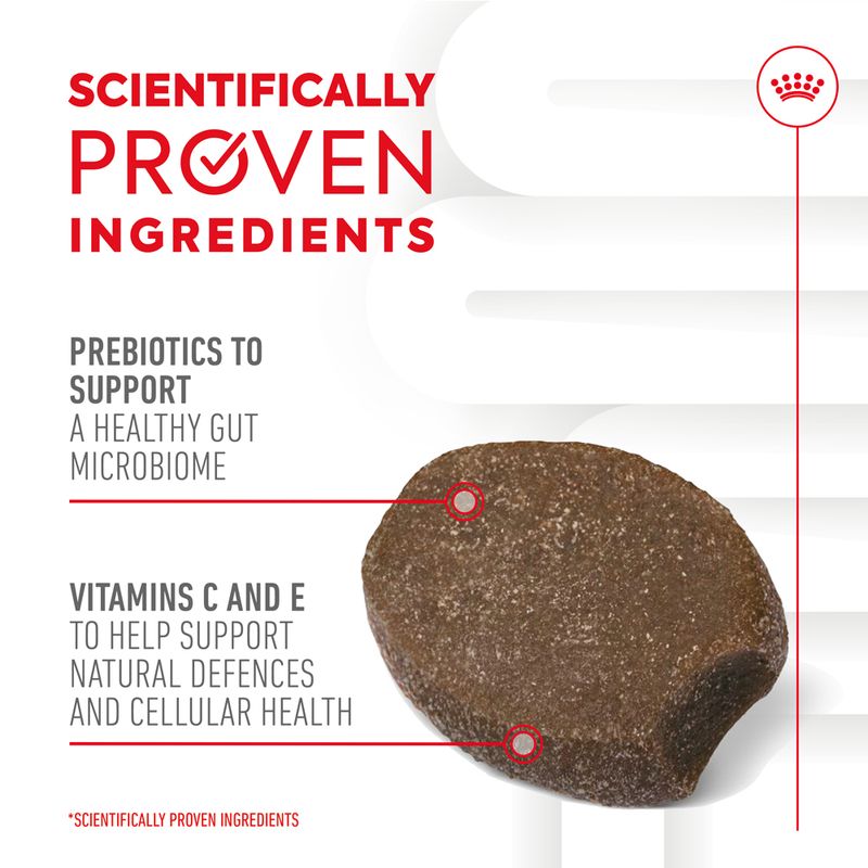 Royal Canin Puppy Immunity & Digestion Supplement Chews || Royal Canin || view 5