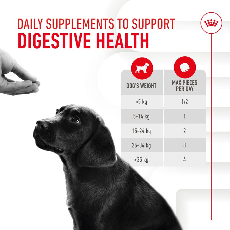 Royal Canin Puppy Immunity & Digestion Supplement Chews || Royal Canin || view 6