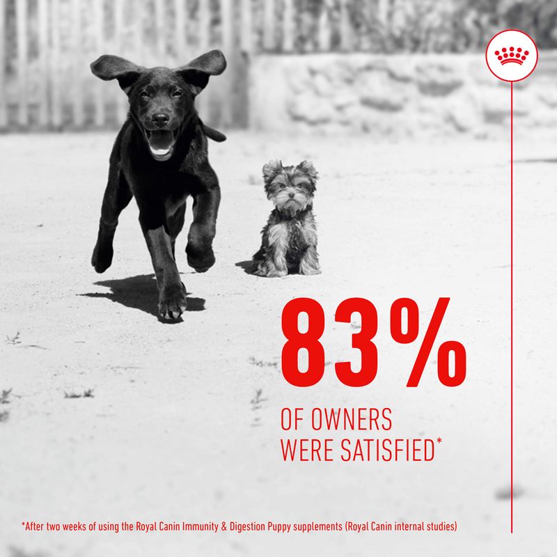 Royal Canin Puppy Immunity & Digestion Supplement Chews || Royal Canin || view 7