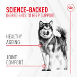 Royal Canin Joint & Ageing Adult Supplement Chews || Royal Canin || view 6