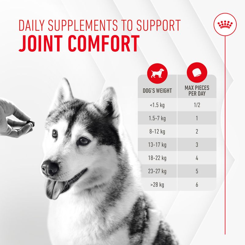 Royal Canin Joint & Ageing Adult Supplement Chews || Royal Canin || view 4