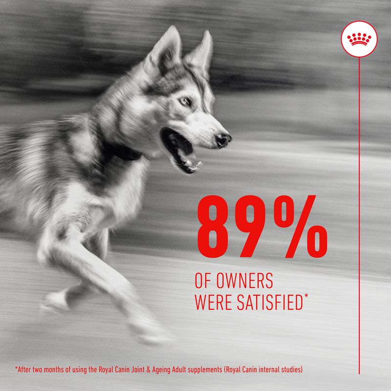 Royal Canin Joint & Ageing Adult Supplement Chews || Royal Canin || view 5