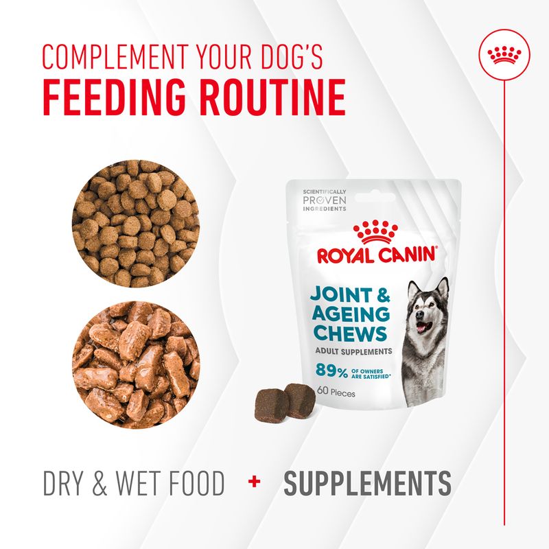 Royal Canin Joint & Ageing Adult Supplement Chews || Royal Canin || view 8