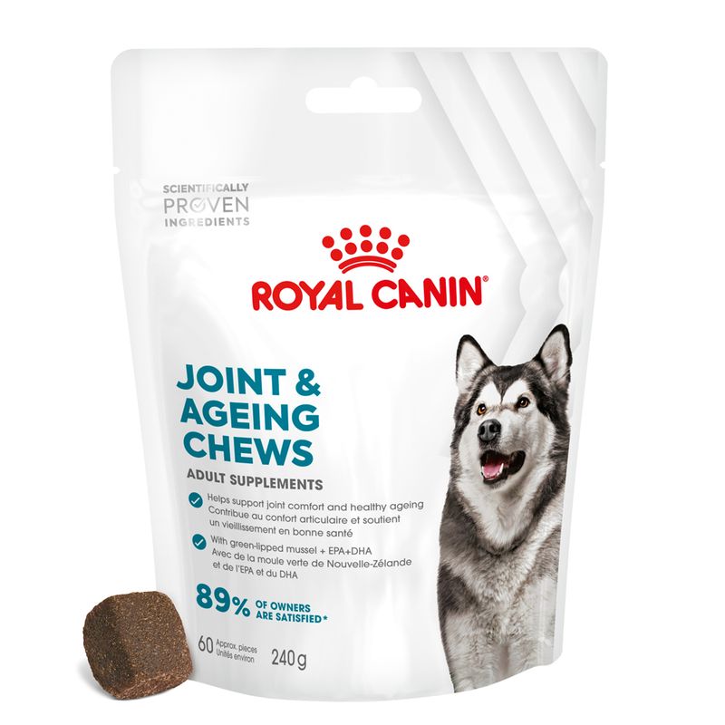 Royal Canin Joint & Ageing Adult Supplement Chews || Royal Canin || view 1