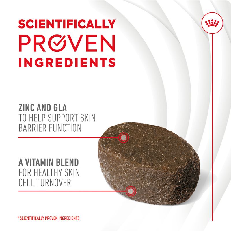 Royal Canin Skin & Coat Adult Supplement Chews || Royal Canin || view 5