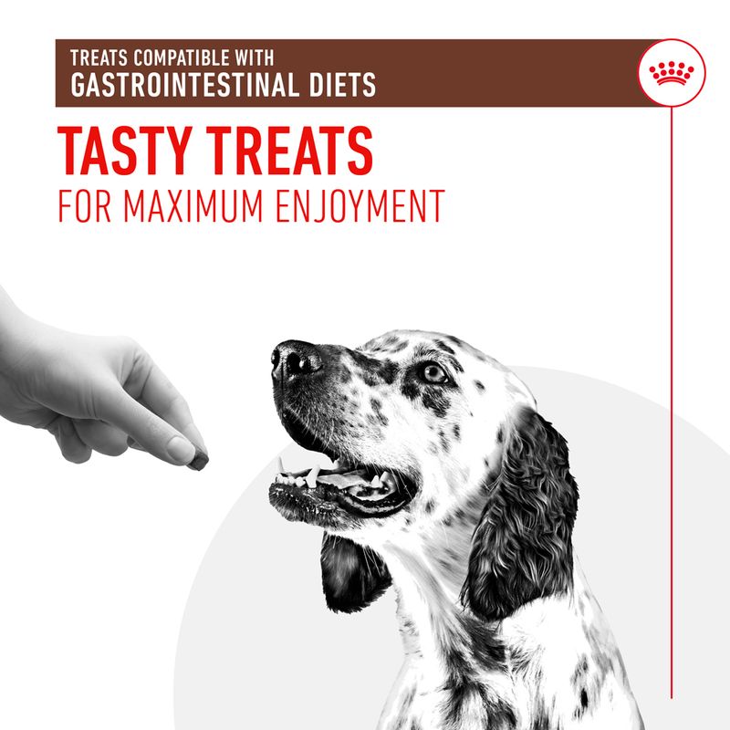 Royal Canin Gastrointestinal Treats || Royal Canin Veterinary Diet || view 5