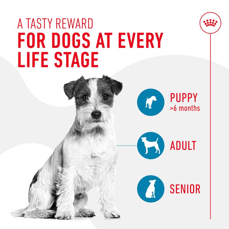 Royal Canin Training Treats || Royal Canin || view 5