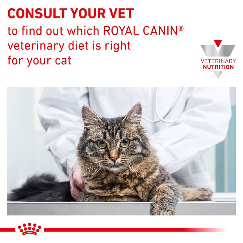 Royal Canin Veterinary Cat - Anallergenic || Royal Canin Veterinary Diet || view 7