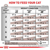 Feeding guide chart showing daily dry and mixed food amounts by cat weight and condition: thin, normal, overweight. Includes pouch mixing instructions and water reminder.
