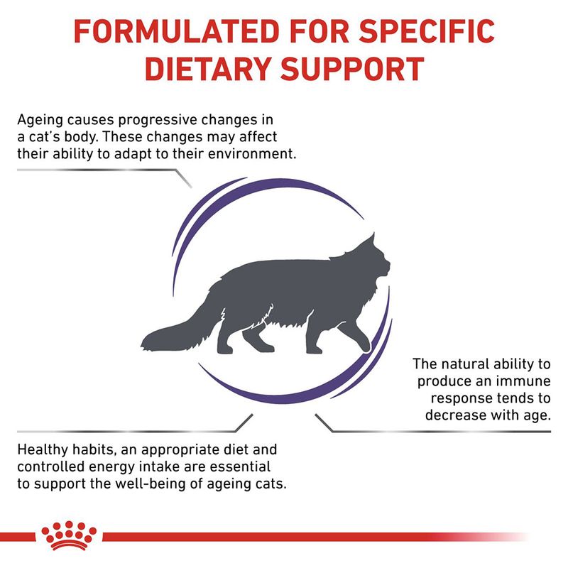 Formulated for specific dietary support: Ageing causes changes in a cat’s body, immune response decreases with age, and healthy habits plus controlled diet support ageing cats’ well-being.