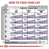 Feeding guide chart for cats by weight and condition, showing daily dry food amounts or mixed feeding with pouches. Includes instructions to add water and mentions metabolizable energy 3609 kcal/kg.