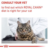 Consult your vet to find out which Royal Canin diet is right for your cat. Image shows a cat at the vet with a person in a white coat.
