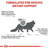 Royal Canin Veterinary Cat - Satiety Support || Royal Canin Veterinary Diet || view 3