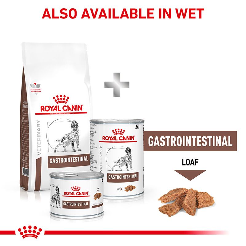 Royal Canin Veterinary Dog - Gastrointestinal || Royal Canin Veterinary Diet || view 9