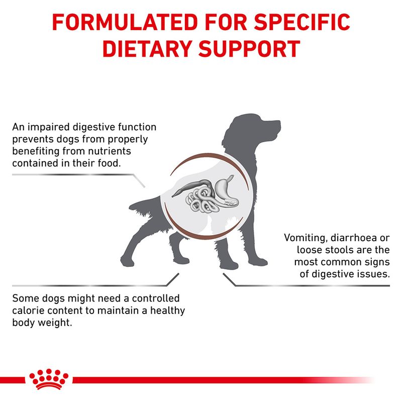 Royal Canin Veterinary Dog - Gastrointestinal Moderate Calorie || Royal Canin Veterinary Diet || view 3