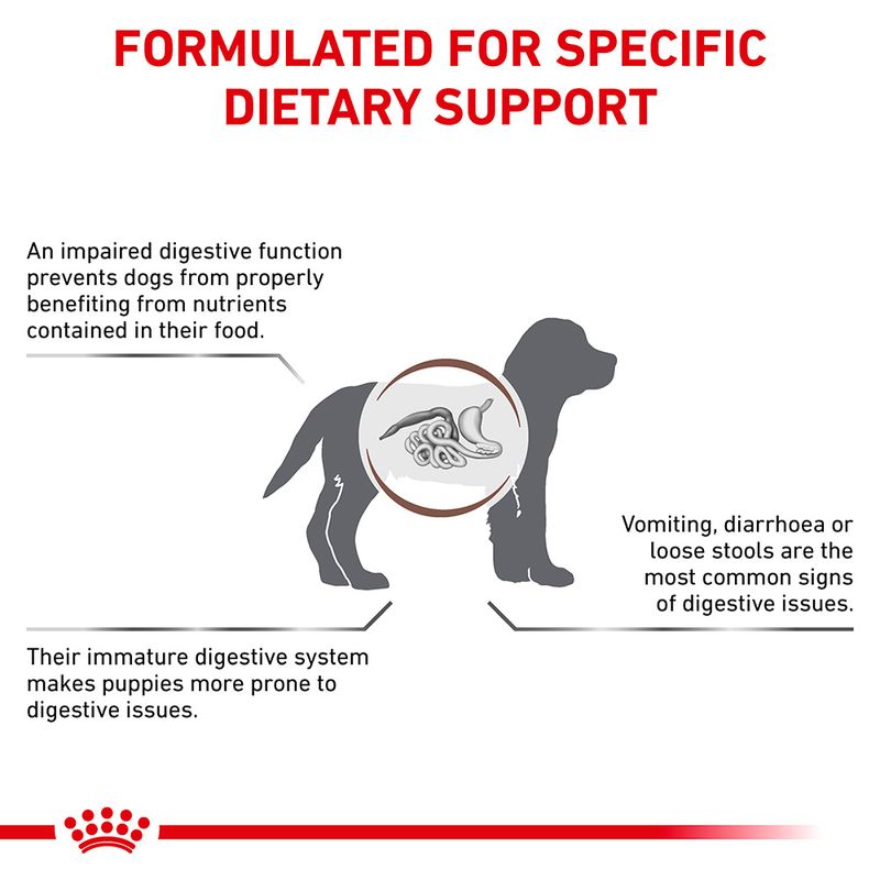 Royal Canin Veterinary Dog - Gastrointestinal Puppy || Royal Canin Veterinary Diet || view 3