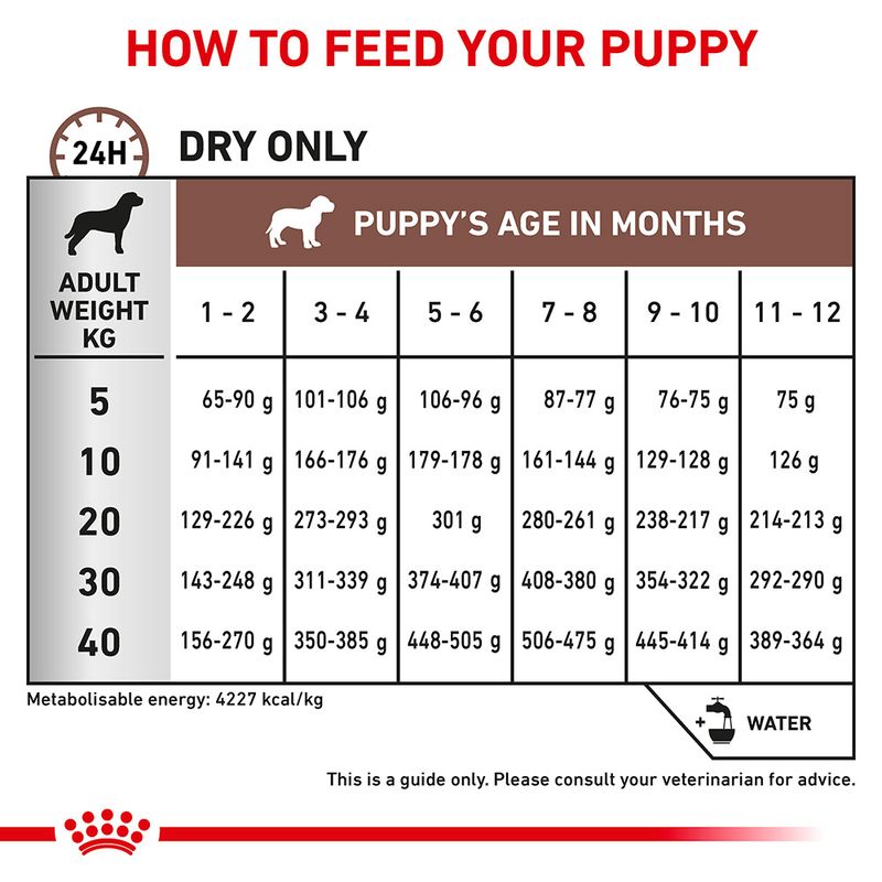 Royal Canin Veterinary Dog - Gastrointestinal Puppy || Royal Canin Veterinary Diet || view 6