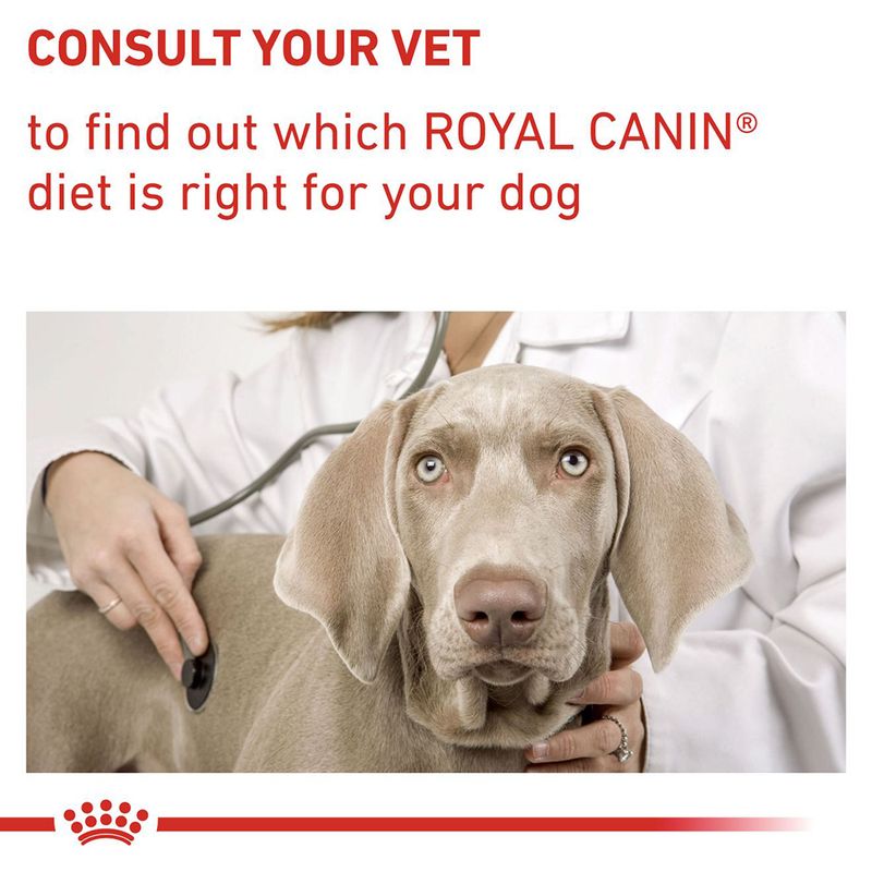 Royal Canin Expert Canine Mature Consult Small Dog || Royal Canin Veterinary Diet || view 9