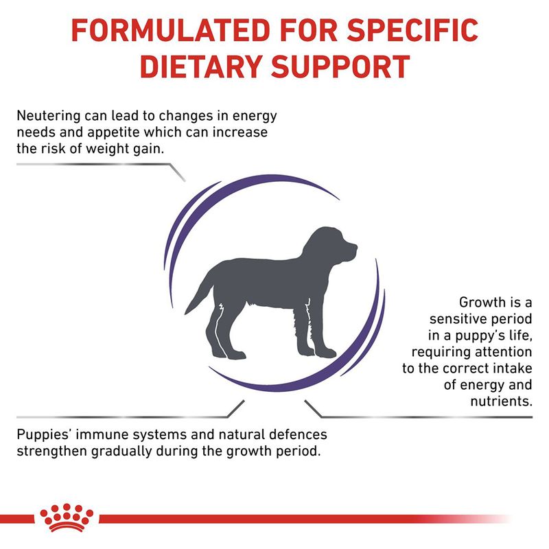 Royal Canin Expert - Neutered Junior Medium Dog || Royal Canin Veterinary Diet || view 3