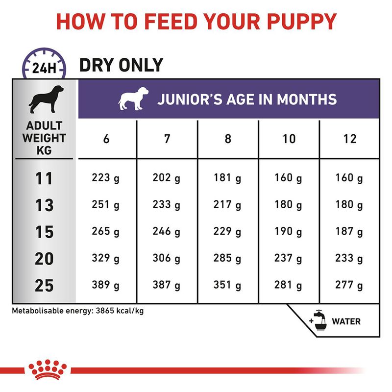 Royal Canin Expert - Neutered Junior Medium Dog || Royal Canin Veterinary Diet || view 6