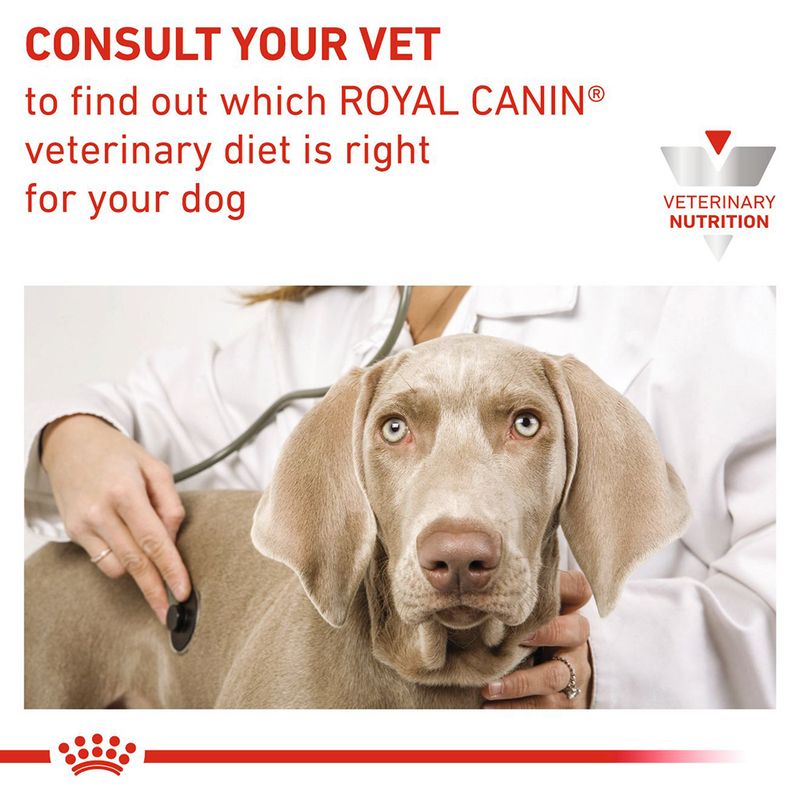 Royal Canin Veterinary Dog - Urinary S/O Ageing 7+ || Royal Canin Veterinary Diet || view 10