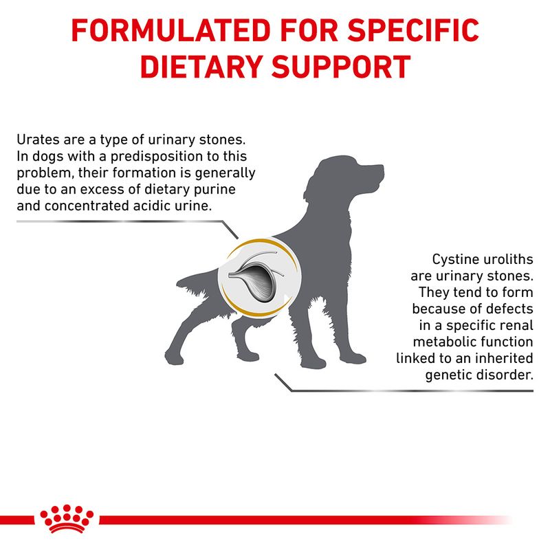 Royal Canin Veterinary Dog - Urinary U/C Low Purine || Royal Canin Veterinary Diet || view 6