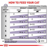 Royal Canin Expert - Mature Consult Balance || undefined || view 5