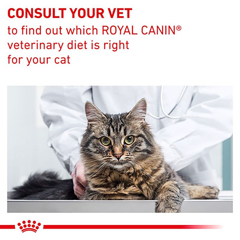 Royal Canin Expert - Neutered Balance || undefined || view 9