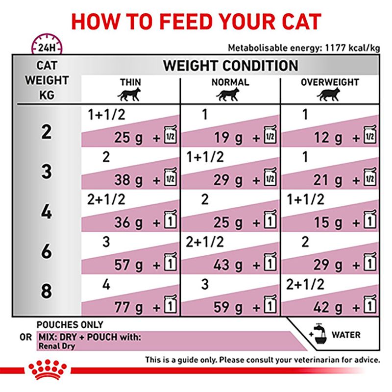 Royal Canin Veterinary Cat - Renal with Chicken || undefined || view 7