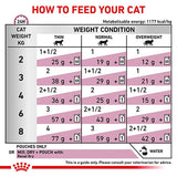 Royal Canin Veterinary Cat - Renal with Chicken || undefined || view 7