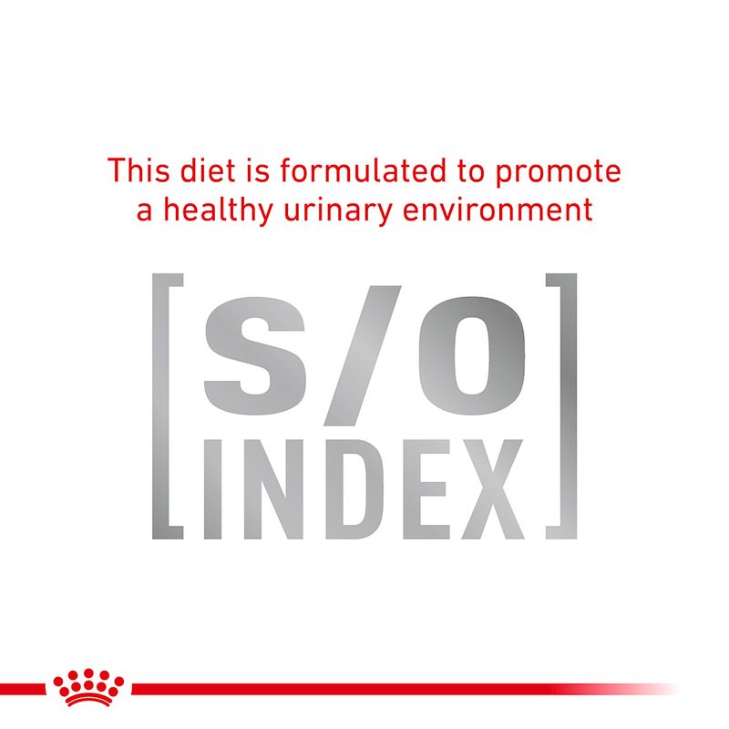 Royal Canin Veterinary Cat – Sensitivity Control Chicken || undefined || view 4