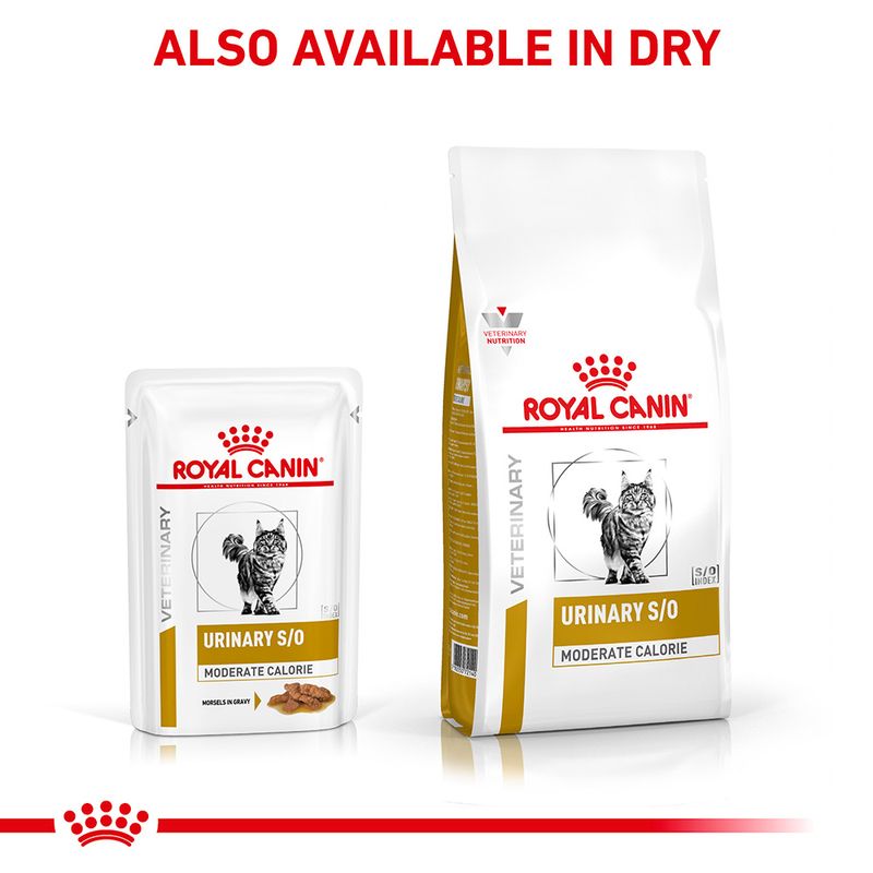 Royal Canin Veterinary Cat - Urinary S/O Moderate Calorie || undefined || view 5