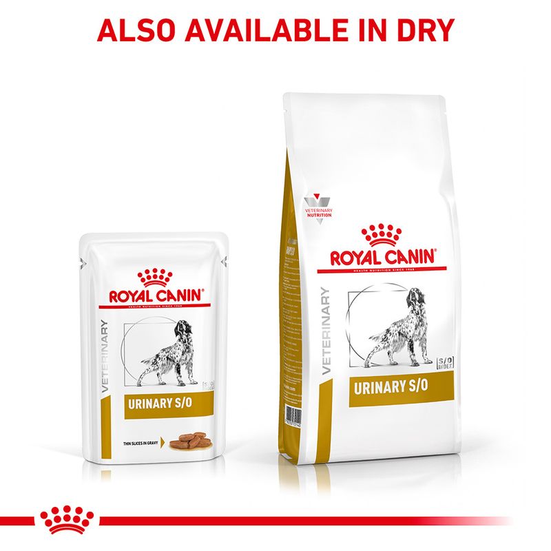 Royal Canin Veterinary Dog - Urinary S/O in Gravy || Royal Canin Veterinary Diet || view 5
