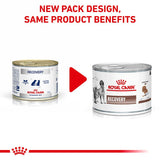 Royal Canin Veterinary Dog & Cat – Recovery Mousse || Royal Canin Veterinary Diet || view 2
